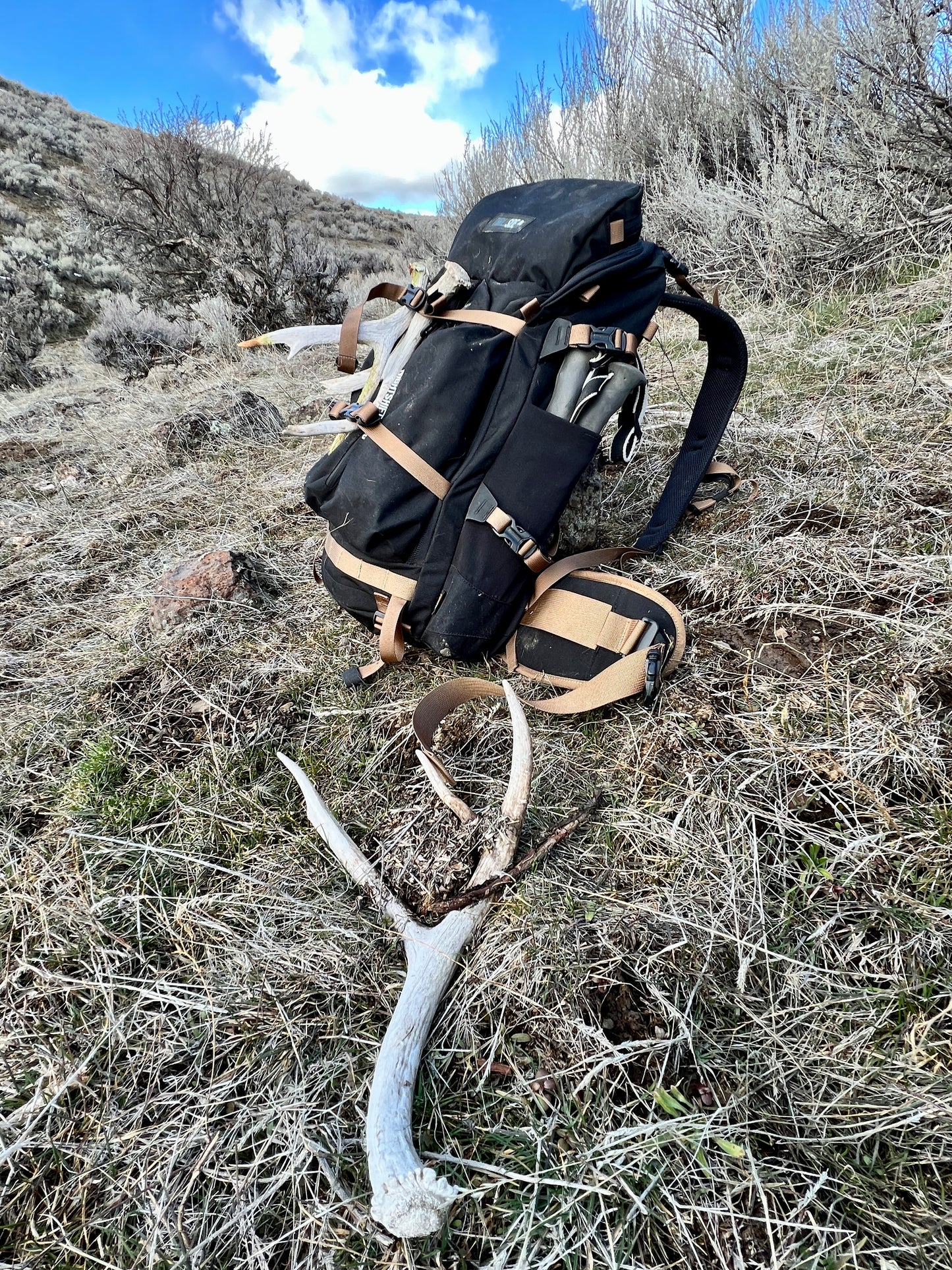 Black and Coyote Tan Nightshift pack with antler sheds
