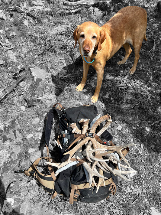 Field Notes #005 - "The Weight of a Pack"